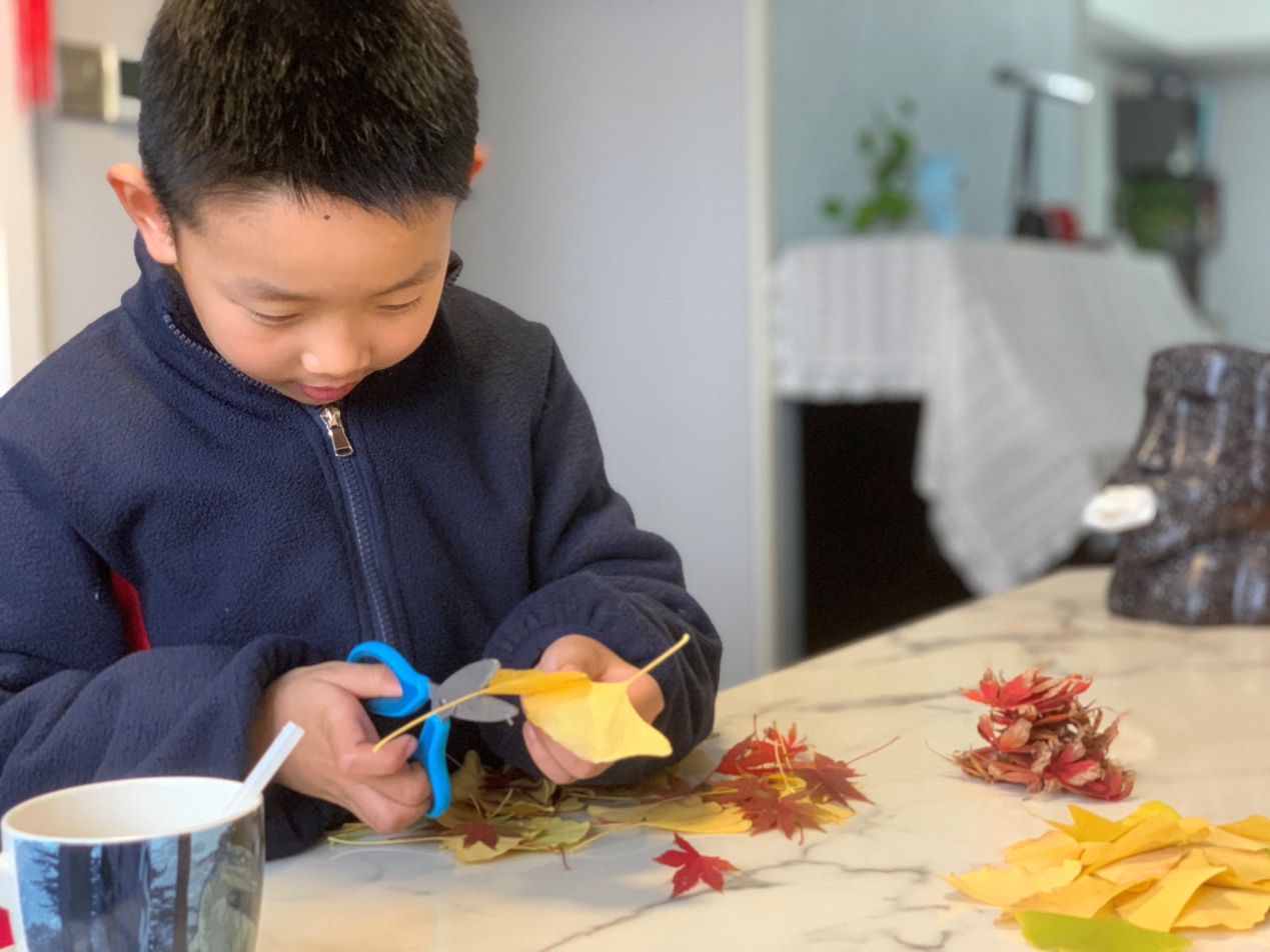 光荣的升旗手：一（1）预备中队江莱