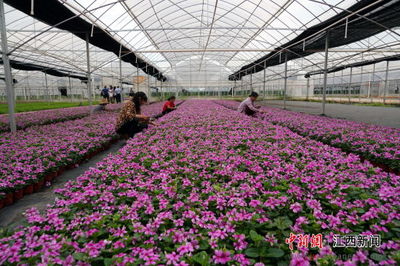 南昌市农业四大特色产业“两品一标”产品达138个